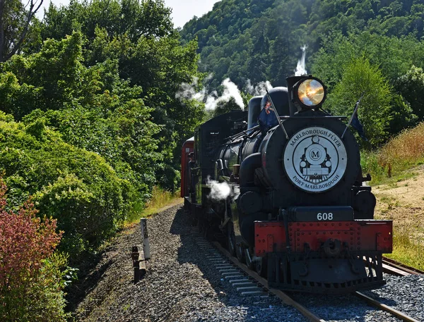 Marlborough Flyer Steam Train поднимается на крутой холм из Пиктона — стоковое фото