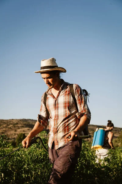 Jovem agricultor pulverizando fertilizante orgânico com tanque de bomba manual — Fotografia de Stock