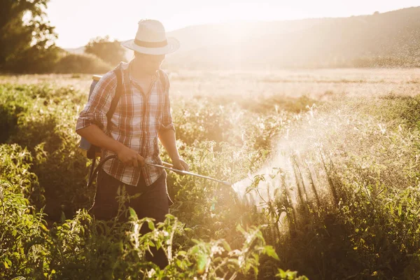 Jonge boer sproeit biologische meststof met handpomptank — Stockfoto