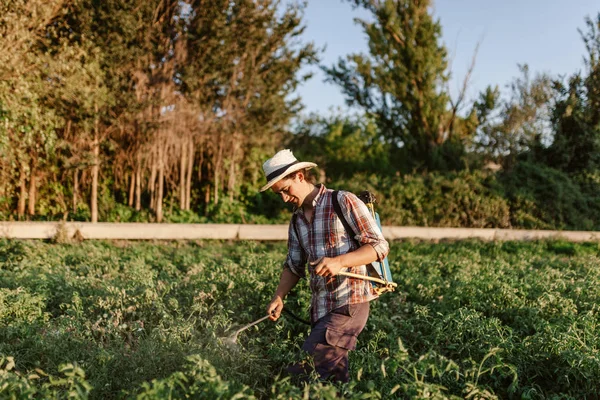 Jovem agricultor pulverizando fertilizante orgânico com tanque de bomba manual — Fotografia de Stock