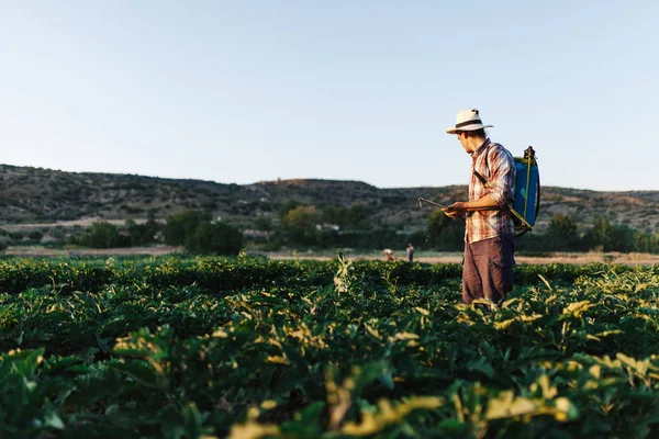 Jeune agriculteur pulvérisation d'engrais organique avec réservoir de pompe manuel — Photo