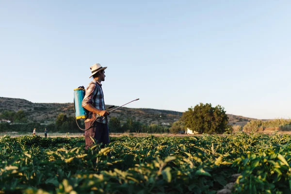 Молодий фермер обприскує органічні добрива ручним насосним баком — стокове фото