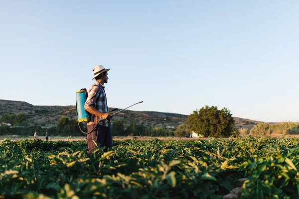 Agricultor joven rociando fertilizante orgánico con tanque de bomba manual — Foto de Stock