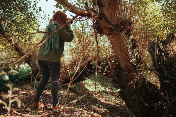 Giovane donna che scatta foto nella foresta con una vecchia macchina fotografica — Foto Stock