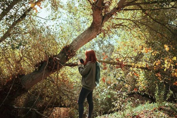 Jonge vrouw maakt foto 's in het bos met een oude camera — Stockfoto