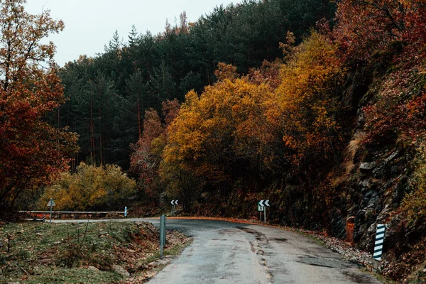 Camino Montaña Que Cruza Bosque Con Colores Otoñales — Foto de Stock