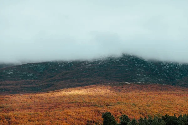 Вид Зимнюю Долину Снежными Горами Заднем Плане Солнечный Луч Облачном — стоковое фото