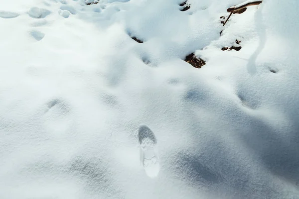 Passo a passo na neve friável fresca — Fotografia de Stock