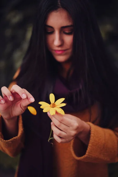 Jeune femme cueille des pétales de fleurs jaunes dans le domaine — Photo