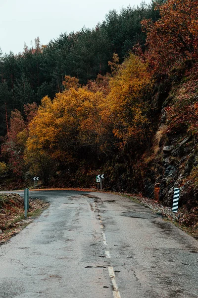 Camino de montaña que cruza un bosque con colores otoñales — Foto de Stock