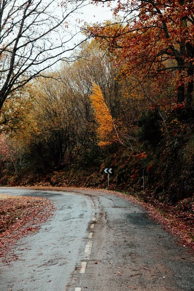 Route de montagne traversant une forêt aux couleurs automnales — Photo