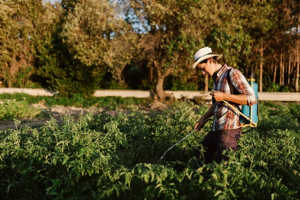 Agricultor Joven Rociando Fertilizante Orgánico Con Tanque Bomba Manual Con —  Fotos de Stock