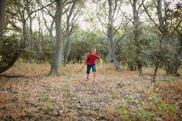 Dos Niños Jugando Bosque — Foto de Stock