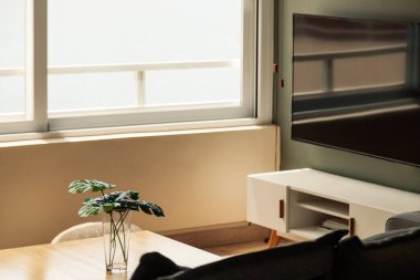 Büyük pencereli rahat, parlak apartman manzarası