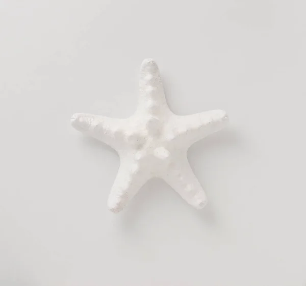 Fehér tengeri csillag. — Stock Fotó