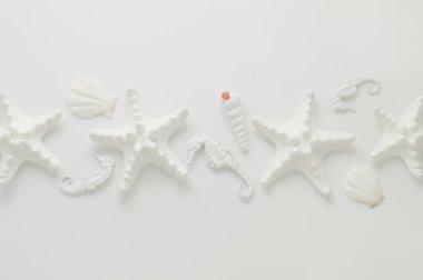 Beyaz okyanus öğeleri.