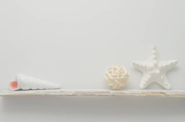 Deniz öğeleri raf.