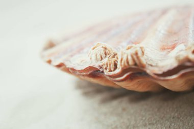 Tarak oceanic ayrıntıları.