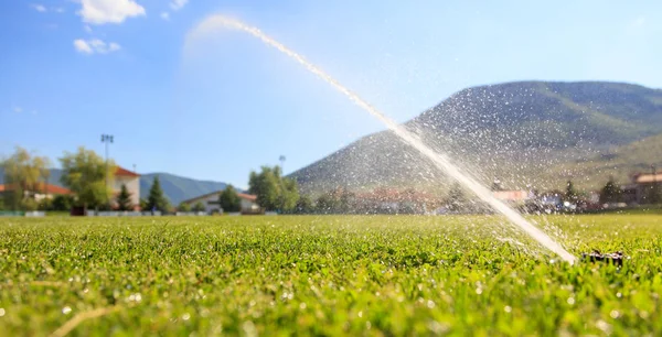 Green field and blue sky — Stock Photo, Image