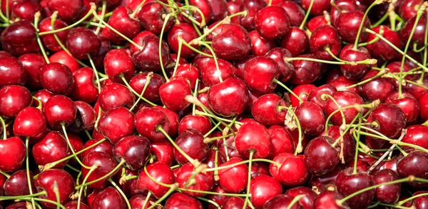 Fresh ripe cherries background — Stock Photo, Image
