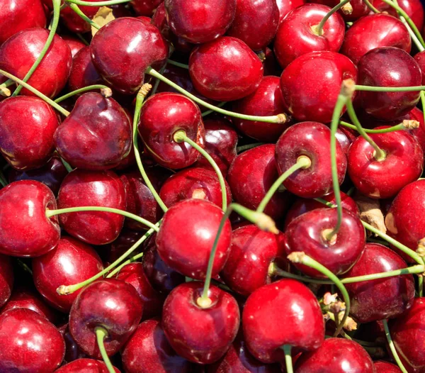 Fresh ripe cherries background — Stock Photo, Image