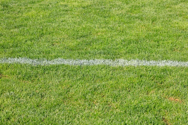 Listra horizontal branca no campo de futebol artificial . — Fotografia de Stock