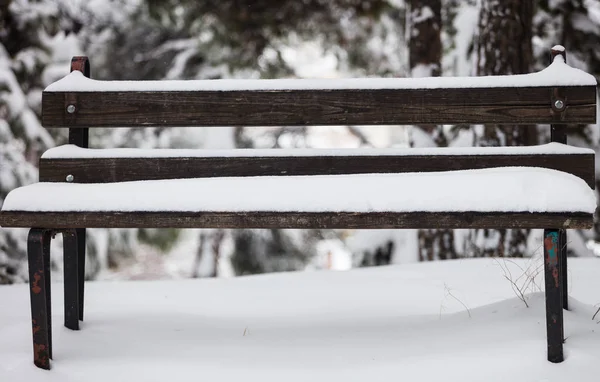 Білий сніг покриває порожню дерев'яну лавку. Природа з розмитим замерзлим тлом дерев. Крупним планом вид спереду . — стокове фото