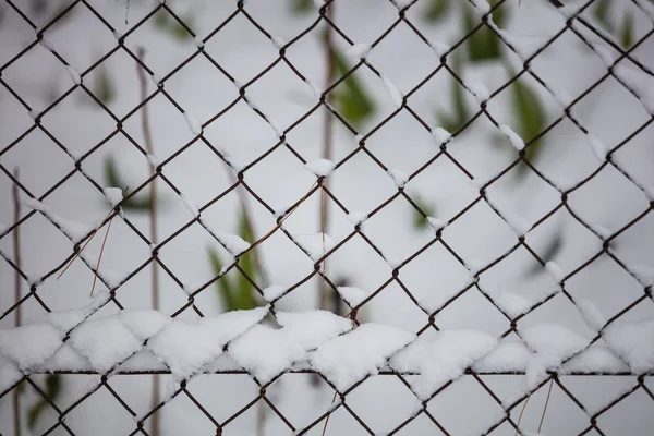 Snow on wire mesh fence. Blurred snowy nature, close up view.