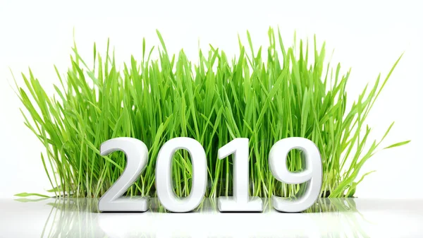 Anno nuovo 2019 Cifre ed erba verde isolati su sfondo bianco. Illustrazione 3d — Foto Stock
