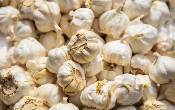 Garlics al mercato, sfondo completo. Spezie fresche e salutari adatte per vegani e vegetariani . — Foto Stock