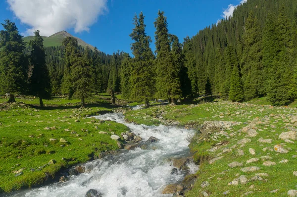 Increíble paisaje de montaña con un río de montaña —  Fotos de Stock