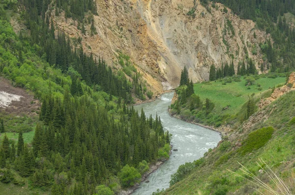 Une grande rivière de montagne coule le long d'un canyon rocheux — Photo