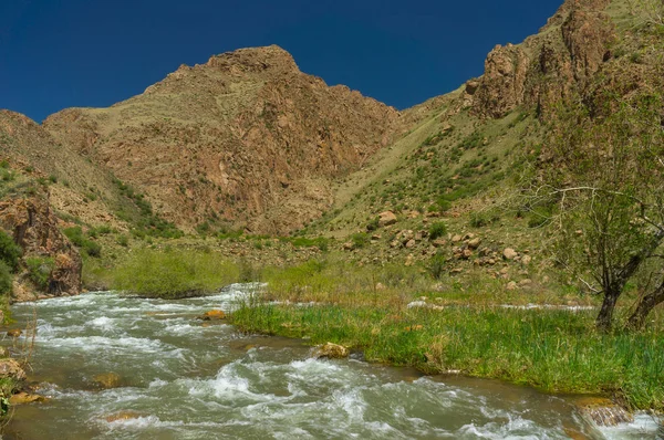 Hermoso río de montaña — Foto de Stock