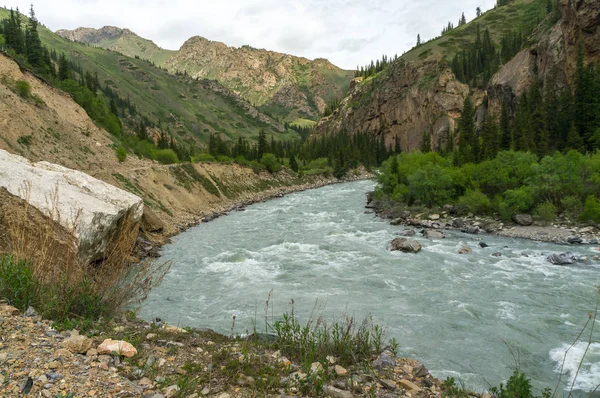 Een grote prachtige berg rivier — Stockfoto