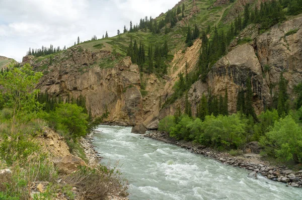 Naryn Nehri kıç kayalıklar arasında akan — Stok fotoğraf