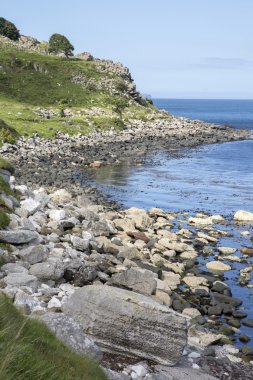 Sahil köleci Bay, Murlough Beach yanında; County Antrim