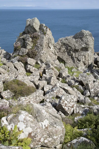 Felsen am Strand von Murlough; Grafschaft Antrim — Stockfoto