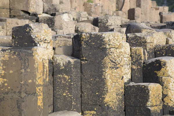 Giants Causeway; County Antrim; Severní Irsko — Stock fotografie