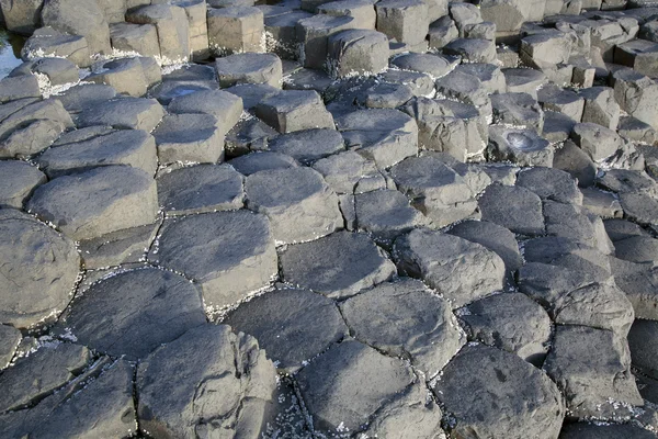 Giants Causeway; County Antrim; Severní Irsko — Stock fotografie