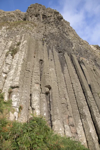 Orgel struktur på Giants Causeway kustnära gångstig; County Antr — Stockfoto