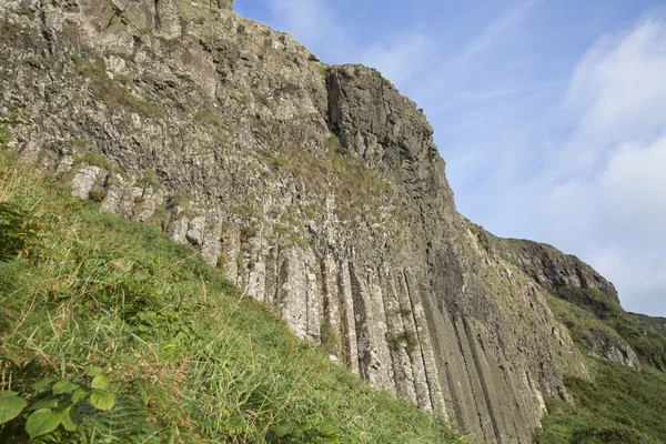 Estrutura de Órgão em Giants Causeway Litoral Footpath; County Antr — Fotografia de Stock