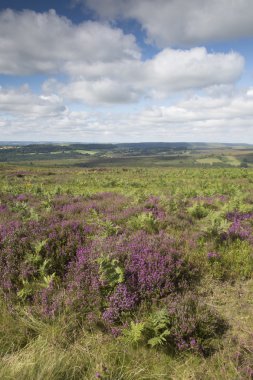 Açık kırsal, North York Moors; Yorkshire