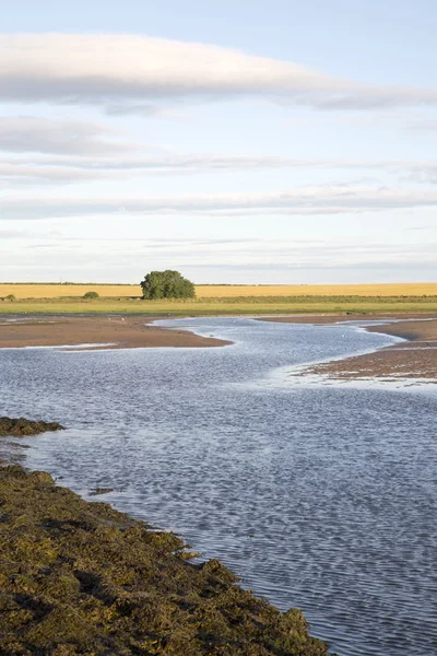 Vista de Holy Island Causeway, Northumberland, Inglaterra — Fotografia de Stock