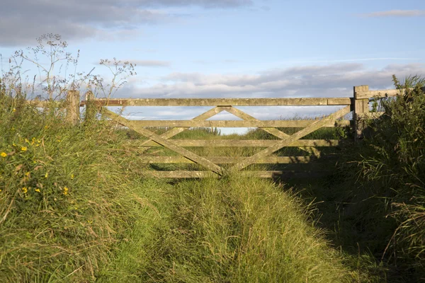 Kapu-mező, Lindisfarne, Holy-sziget; Northumberland — Stock Fotó