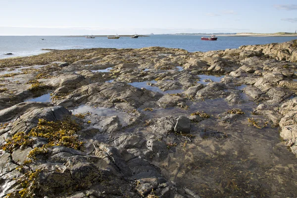 Praia costeira ao largo de Holy Island; Inglaterra ; — Fotografia de Stock