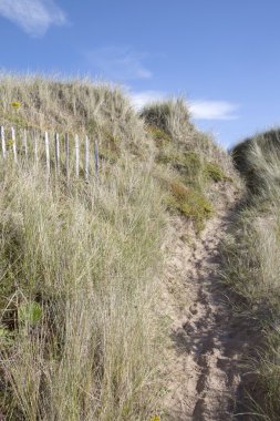 Dune Lindisfarne üzerinde; Kutsal Ada; Northumberland
