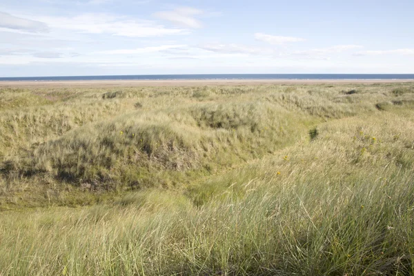 Duna em Lindisfarne; Ilha Santa; Northumberland — Fotografia de Stock