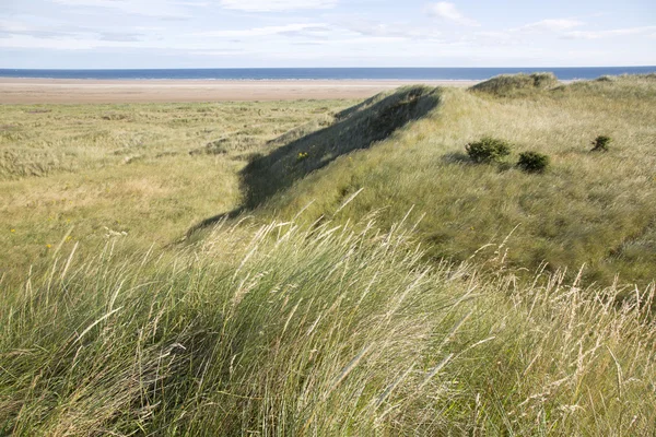 Στους αμμόλοφους και την παραλία σε Lindisfarne? Ιερό νησί — Φωτογραφία Αρχείου
