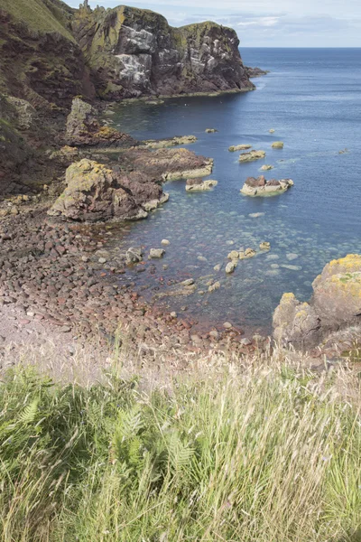 St Abbs Head, Northumberland; England — Stock Photo, Image