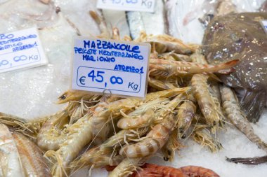 Karides piyasa ahır, Bologna satışa